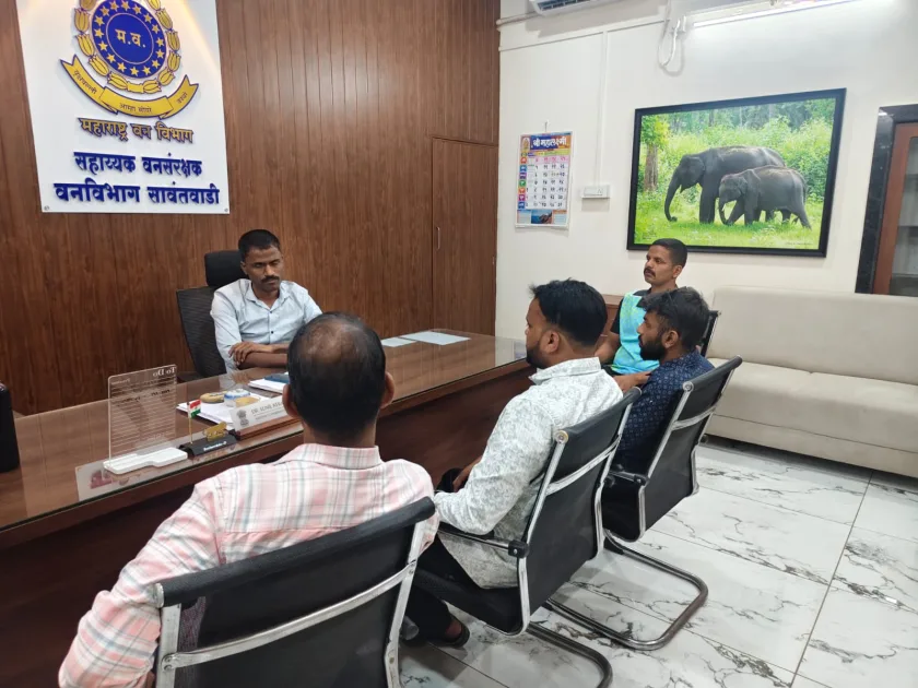 न्हावेली येथे गवे-रेड्यांकडून नाचणी, भातशेतीचे मोठे नुकसान!